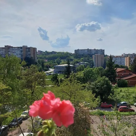 Retro Cosy Apartment Belgrade